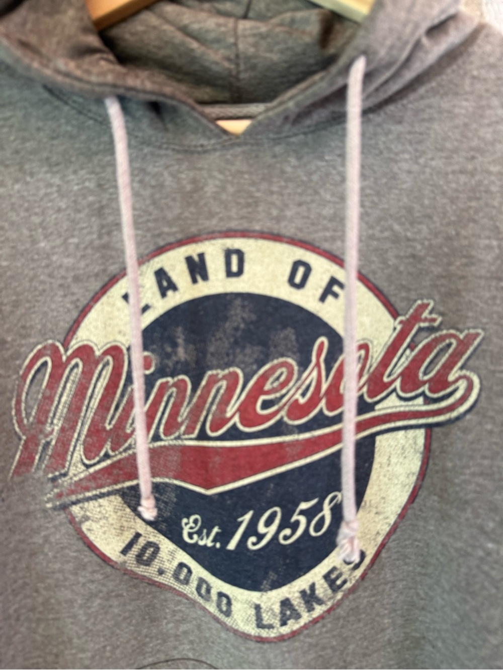 Gray "Minnesota" Graphic Hoodie with Red & Navy Logo